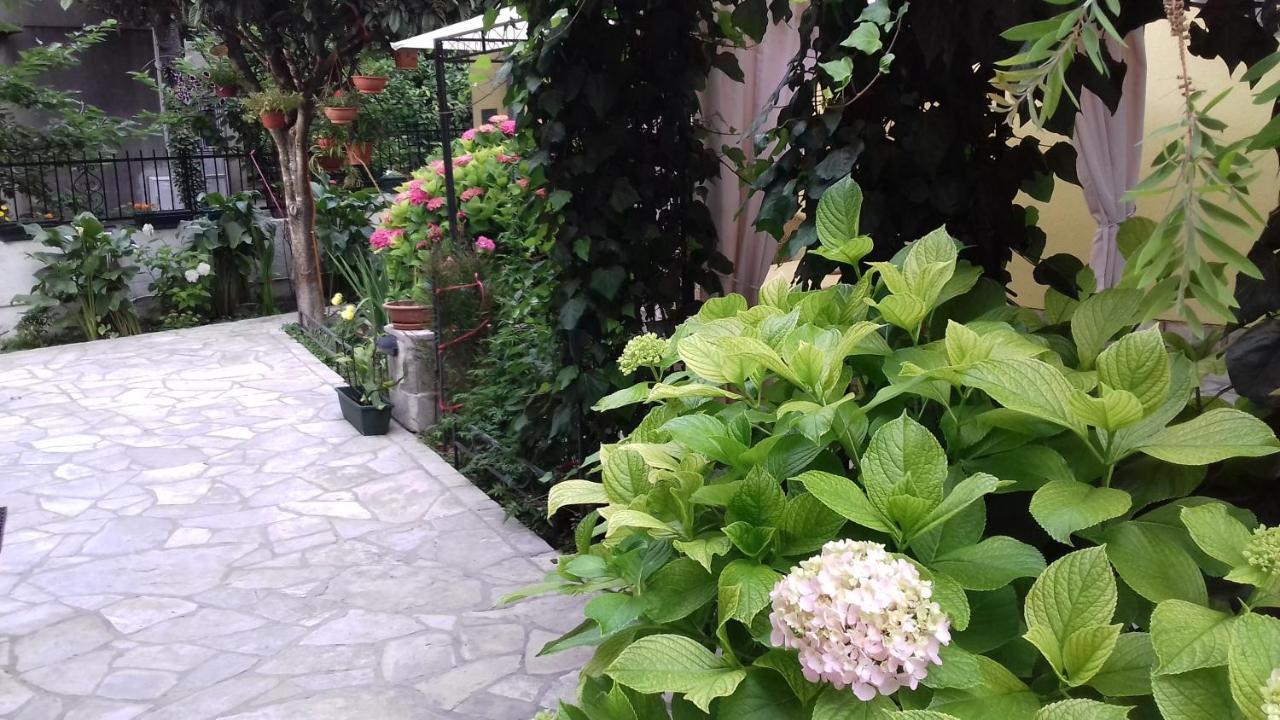 Apartments Matkovic Kotor Ngoại thất bức ảnh
